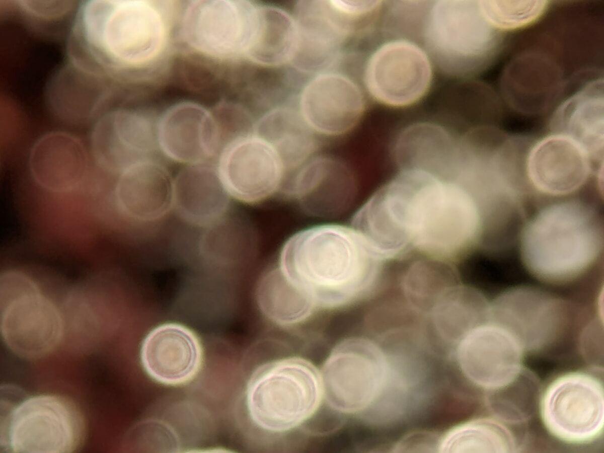 a blurry photo of a bunch of circles